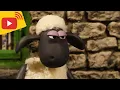 Download Lagu 🔴 LIVE - Shaun the Sheep | Farm TV | Shaun The Sheep 🐑 Cartoons for kids, Preschool, New Stream