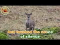 Download Lagu THE SOUND OF SILENCE [ karaoke version ]