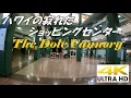 4K Dole Cannery deserted shopping mall in Hawaii