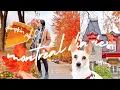 Lagu IT SEEMS UNBELIEVABLE! 🍁 Enjoying every second of Canadian AUTUMN in Montreal (5/30)