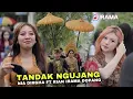 Download Lagu TANDAK NGUJANG LAGU SASAK PALING ENAK DIDENGAR SEPANJANG MASA ~ NIA DIRGHA FT RIAN IRAMA DOPANG