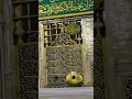 Download Lagu salam ya razoolallah