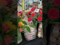 Scotty Shows You Some Great Options for Mother s Day Gifts