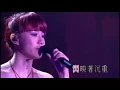 電燈膽(concert)