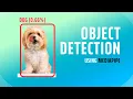 Object Detection in Mediapipe using Python Object Detection with code