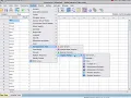 SPSS 8 Hypothesis Test for a Sample Proportion