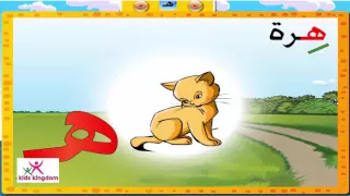 تعليم اللغه العربيه للاطفال   حروف الهجاء العربيه   اغنية حرف ال    هاء   دندنها