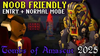 The Only ToA Guide You Need 2025 Beginner Mid Game OSRS 