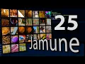 Game Controller Jamune 25 TidalCycles