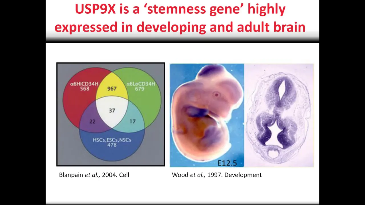 Use of stem cell models to assess genetic change underlying neurodevelopmental disorders