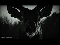 Disembodied Tyrant/Synestia - Winter (Lyrics/Sub Español)