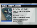 Arrests made in 2 separate Albany animal cruelty cases