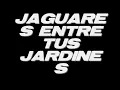 Jaguares - Entre tus jardines