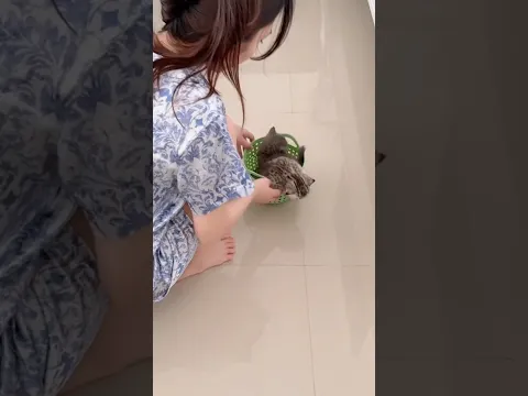 Ampun deh kelakuan cucu mami yuki🤣