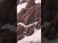 Pikes peak shuttle drive 02