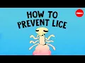 This is the most common way to get head lice - Nazzy Pakpour