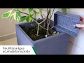 Vídeo do produto