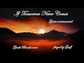 If Tomorrow Never Comes (Guitar instrumental)