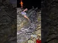 Download Lagu Man Falls Asleep While Fishing, Wakes Up to a School of Fish! #shortvideo #fishing