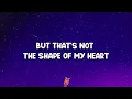 Sting - Shape Of My Heart (Lyrics)