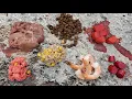 Best Catfish Baits from Grocery Store - Fishing for Catfish Carp in Texas