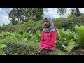 Download Lagu SIAPA YANG HARUS DISALAHKAN...??? NASIB TINGGAL DENGAN NENEK || JANDA DESA SEDERHANA - Ar Rumi TV