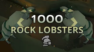 Loot From 1 000 Rock Lobsters