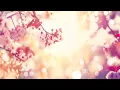Download Lagu Ontspannende slaapmuziek • Zachte pianomuziek voor tijdens de yoga, meditatie, slaap #98
