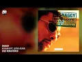 Shaggy - Boombastic (Sting Remix) (2025 Remaster)