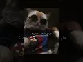 Download Lagu اغنية y que fue الشهيرة مترجمة | #editlyrics #tiktok #trending #viral #lyrics #yquefue #fyp