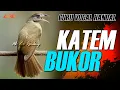 Download Lagu KAPAS TEMBAK GACOR SUPER NGEBREN RAPET ISTIMEWA