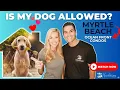 Myrtle Beach Ocean Front Condo Buildings that ALLOW PETS