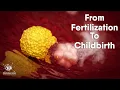 Download Lagu Educational Content ,From Fertilization To Childbirth | 3d medical animation | by Dandelion Team