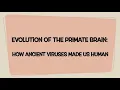 Evolution of the Primate Brain How Ancient Viruses Made Us Human