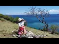 Download Lagu Daun - Daun Kering - Maya Rumantir + lirik (photo selfie nya keren)