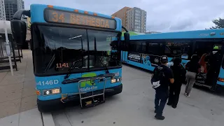 WMATA New Flyer Metrobuses MCDOT Ride-On Gillig Buses Transit Action Series 6