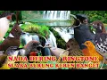 Download Lagu KICAUAN SOGOK ONTONG NADA DERING||RINGTONE SUARA BURUNG MERDU BANGET SUARA JERNIH