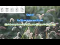 Catch the Wind by Donovan play along with scrolling guitar chords and lyrics