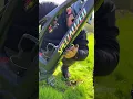 Download Lagu How To Stop Getting Made Fun Of If You Have A Nice Bike But Never Ride It…