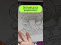 new flip through - fascinating fungi colouring book