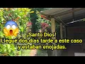 Santo Dios Llegue dos dias tarde a este caso y estaban enojadas