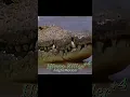 Download Lagu Lolong VS Gustave #gustave #lolong #crocodile #vsbattle #edit