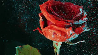 martin garrix u0026 david guetta so far away feat jamie scott u0026 romy dya nicky romero remix 