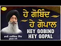 Lagu Hey Gobind Hey Gopal | Bhai Harjinder Singh Srinagar Wale | Mr Singh Production