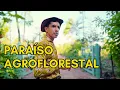 Download Lagu Tour Completo pelo Sítio (ATUALIZADO 2025)