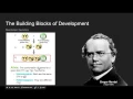 Lifespan Development Ch 8