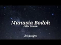 Download Lagu Manusia Bodoh - Ada Band (Felix Irwan cover)  (Lyrics)