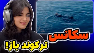 ری اکشن به رپ دری سکانس یورز Sequence Yours Reaction 