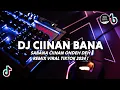 Lagu DJ Ciinnan Bana - Fauzana Remix Viral Tiktok Full Bass Terbaru 2024