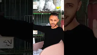 اربي الحمام سايب ولا محبوس ايهما الافضل   دندنها